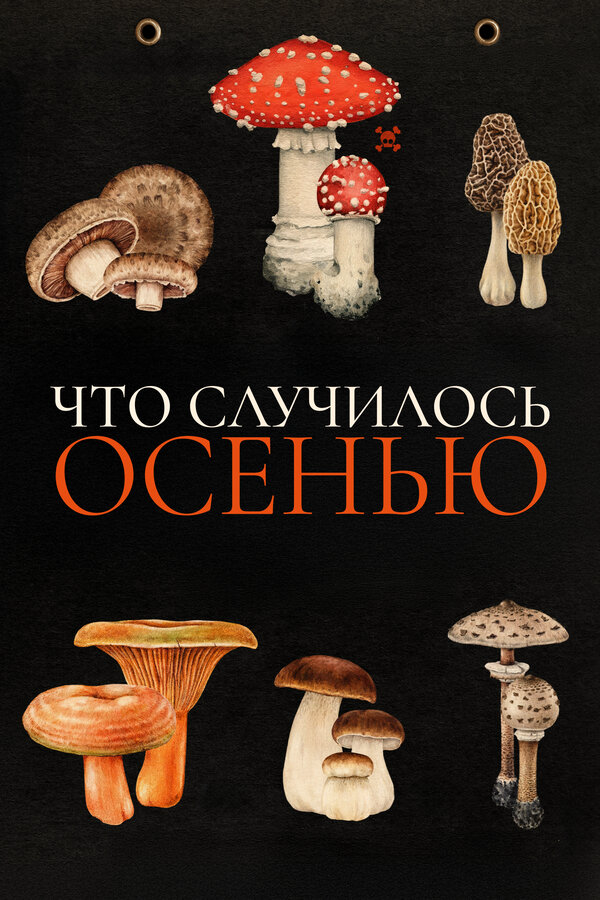 Что случилось осенью - постер фильма